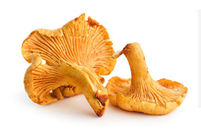 product photo for Chanterelles