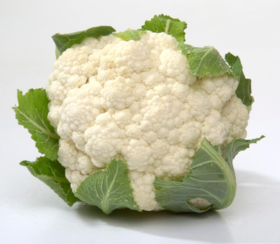 Produktfoto zu Blumenkohl weiß, regionale Ernte