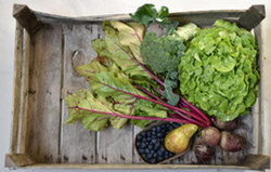 product photo for Regio-Kiste