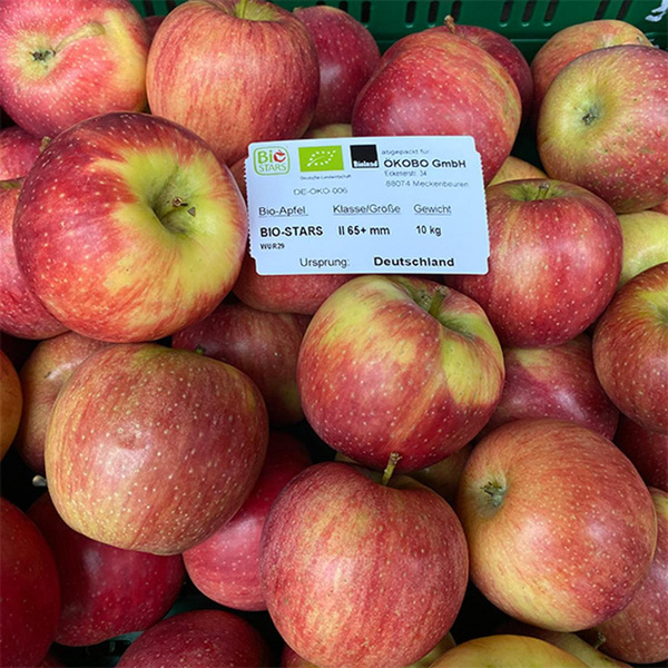 Produktfoto zu Äpfel "Biostars" deutsche Ernte