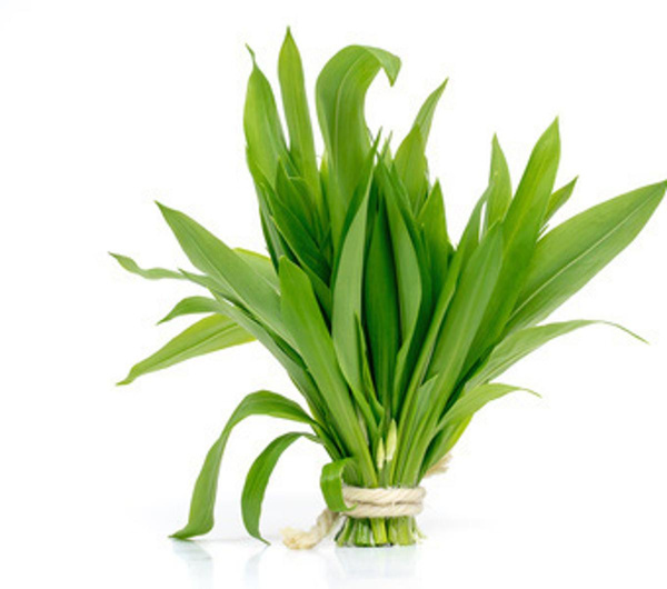 Produktfoto zu Bärlauch im Bund, deutsche Ernte