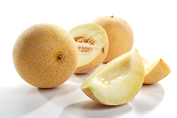 Photo de produit pour Melon "Galia"