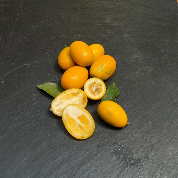 Photo de produit pour Kumquat - Mini-orange