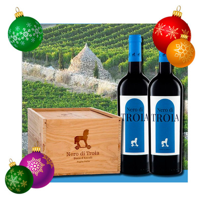 Produktfoto zu Nero di Troia - 6 Flaschen in Holzkiste