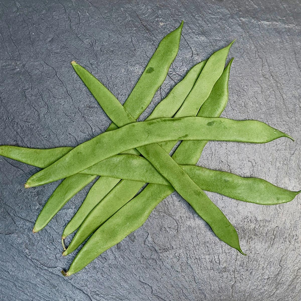 Photo de produit pour Haricots grimpants