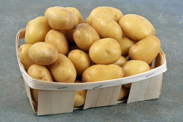 Produktfoto zu Kartoffeln "Drillinge", regionale Ernte