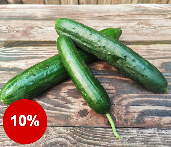 Produktfoto zu Trio Gurken - Schlangen-, Mini-, Landgurke