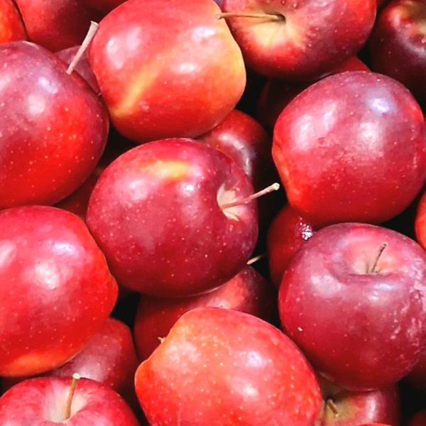 Photo de produit pour Pommes "Story", nouvelle récolte