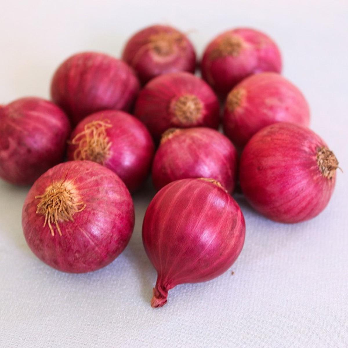 Zwiebeln rot, regionale Ernte
