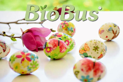 product photo for Click here for the Easter articles