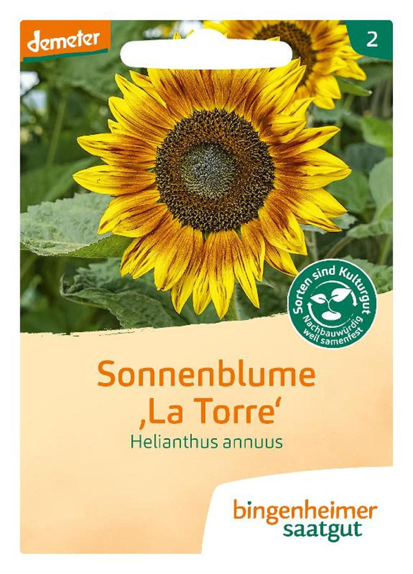 Photo de produit pour Semences Tournesol