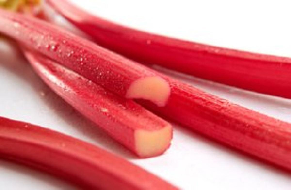 Photo de produit pour Rhubarbe