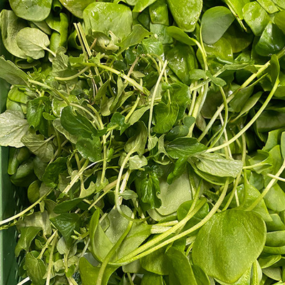 Photo de produit pour Salade Mix de printemps, récolte régionale