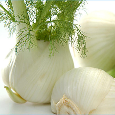 Produktfoto zu Fenchel, regionale Ernte