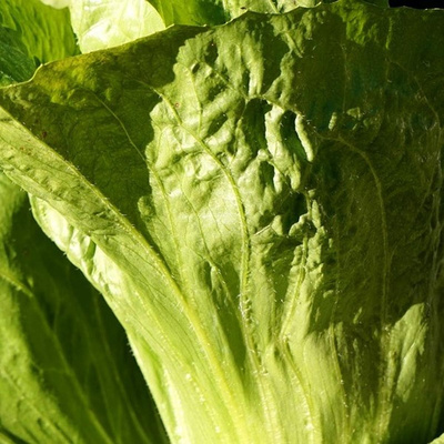 product photo for Sugarloaf salad