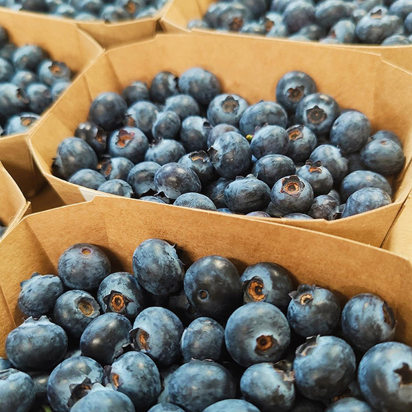 Produktfoto zu Heidelbeeren 250g, deutsche Ernte