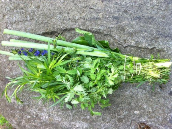 product photo for Fresh Asian Herb Blend