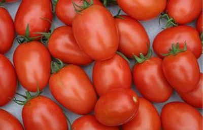 Produktfoto zu Romatomaten