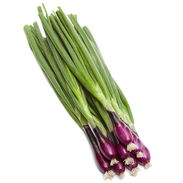 product photo for Spring onions