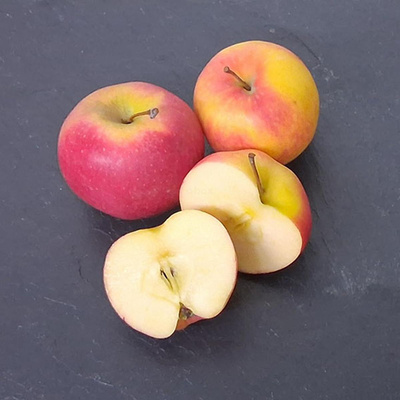 Produktfoto zu Äpfel "Kizuri", regionale Ernte