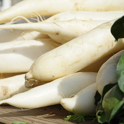 Photo de produit pour Radis blanc, récolte allemande