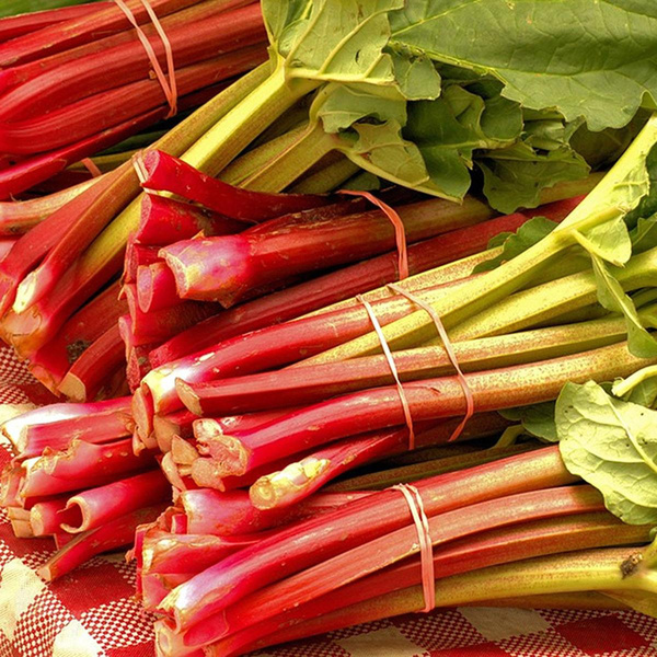Produktfoto zu 1 kg Rhabarber, regionale Ernte