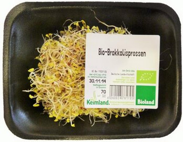 Produktfoto zu Alfalfa-Sprossen, regionale Ernte