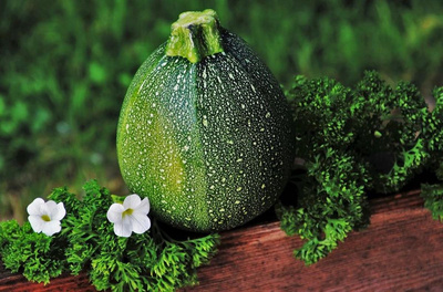 Produktfoto zu Zucchini rund, deutsche Ernte