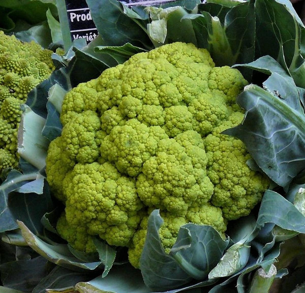 Photo de produit pour Chou-fleur, vert
