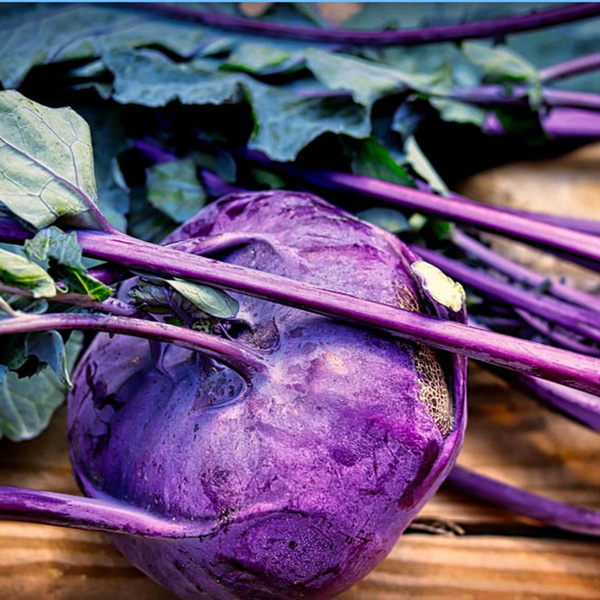 Produktfoto zu Kohlrabi Superschmelz, regionale Ernte