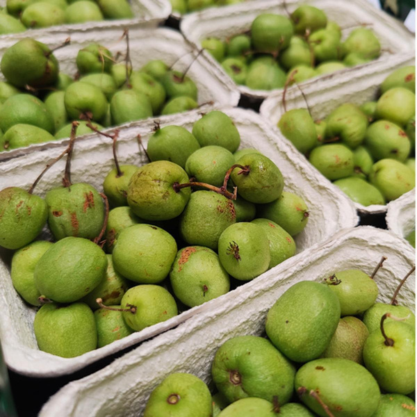 Photo de produit pour Mini-Kiwi (type Weiki), récolte allemande