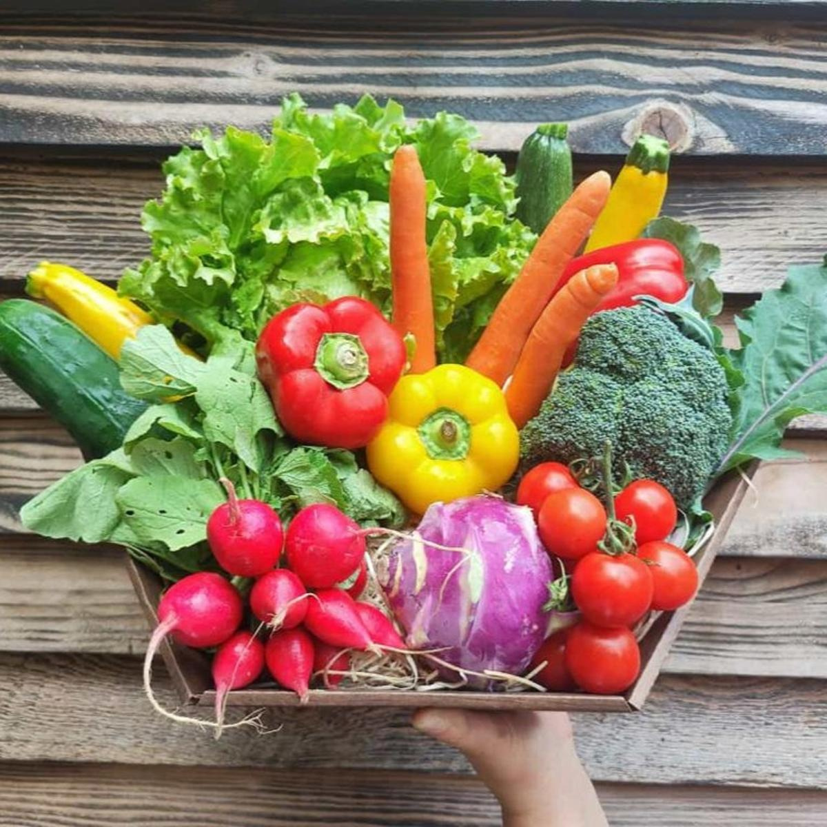 Panier de présentation de légumes