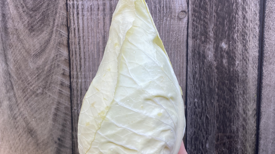 Rezeptbild für Spitzkohl Pfanne mit Schupfnudeln