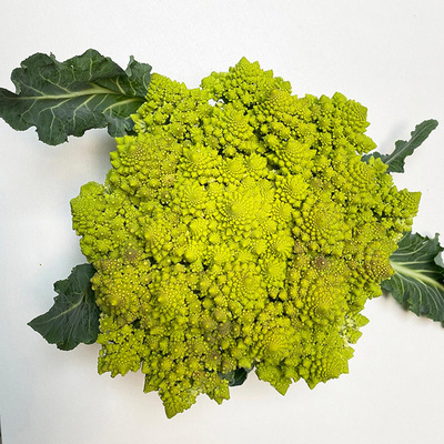 Produktfoto zu Romanesco, regionale Ernte