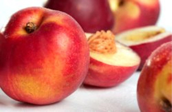 Photo de produit pour Nectarines