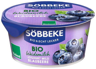 product photo for Blueberry yoghurt