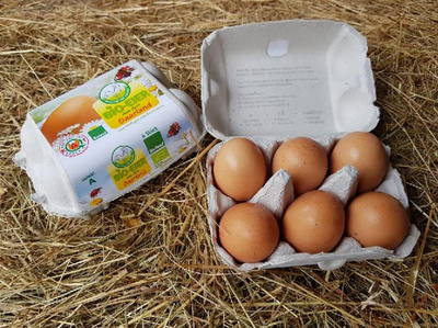 product photo for Eggs "Zenner", 6 pieces