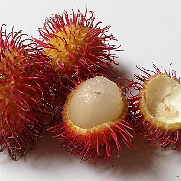product photo for Rambutan, type of "hairy" lychee