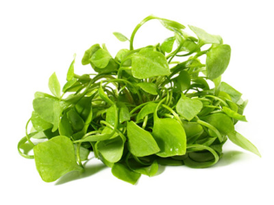 Photo de produit pour Postelein