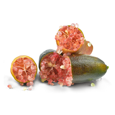 Produktfoto zu Kaviarlimetten (Fingerlimette)