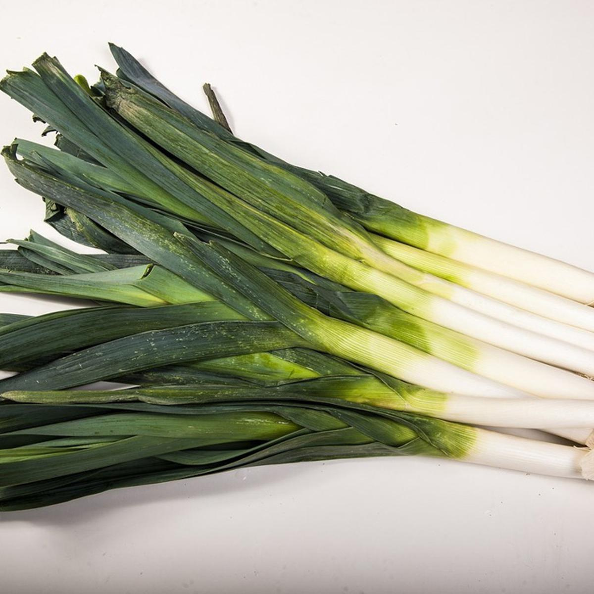 Leek