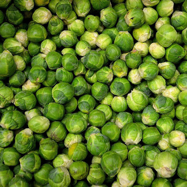 Produktfoto zu Rosenkohl, deutsche Ernte