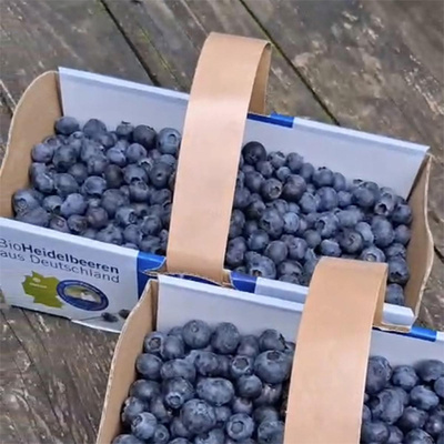 Produktfoto zu Heidelbeeren im 1kg Korb