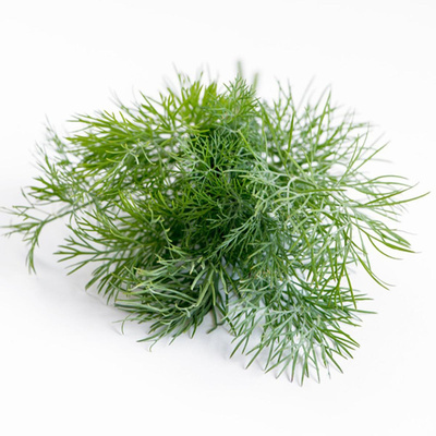 Produktfoto zu Dill im Bund, regionale Ernte