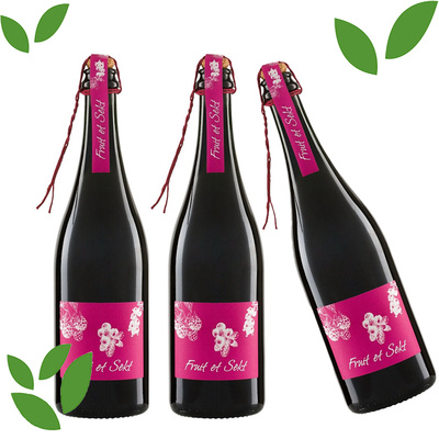 KI generiert: Das Bild zeigt eine Flasche Vermador Wein, auf deren Etikett eine Illustration eines Tieres und der Schriftzug "Monastrell & Syrah" zu sehen sind. Es handelt sich um einen Bio- und veganen Wein.