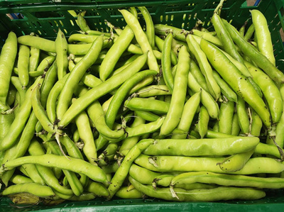 Photo de produit pour Haricots larges