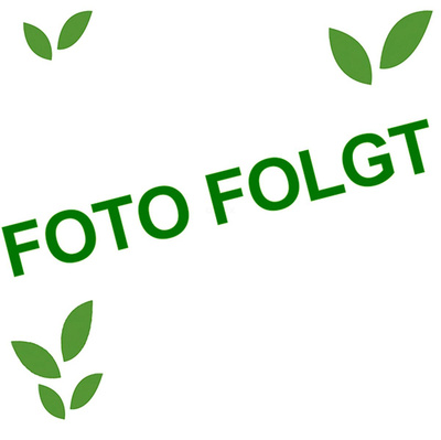 Produktfoto zu 2kg Sparpaket "November"