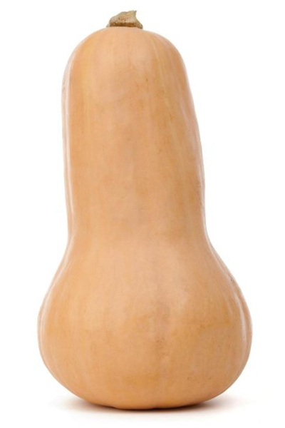 Produktfoto zu Kürbis "Butternut", regionale Ernte