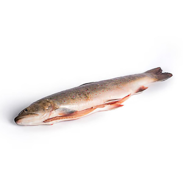 Photo de produit pour Omble chevalier frais