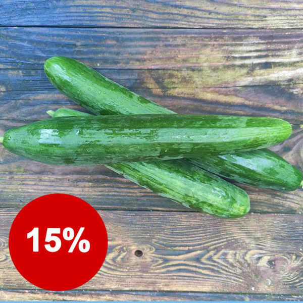 Produktfoto zu 1 kg Schlangengurken (3 Stück)